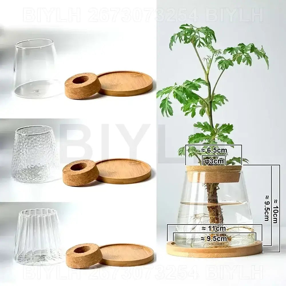 Glass and Wood Planters