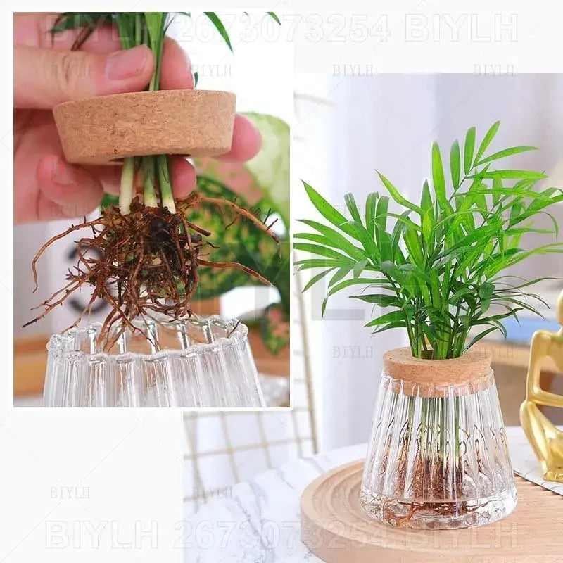 Glass and Wood Planters