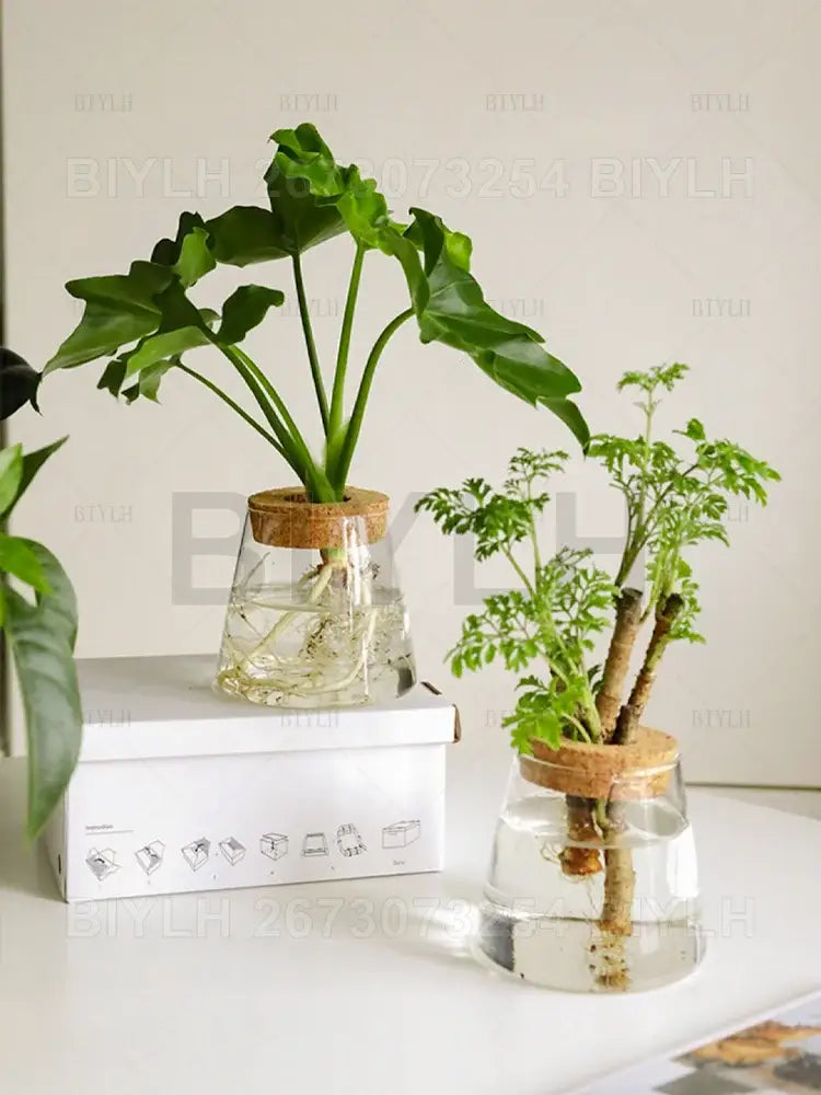 Glass and Wood Planters