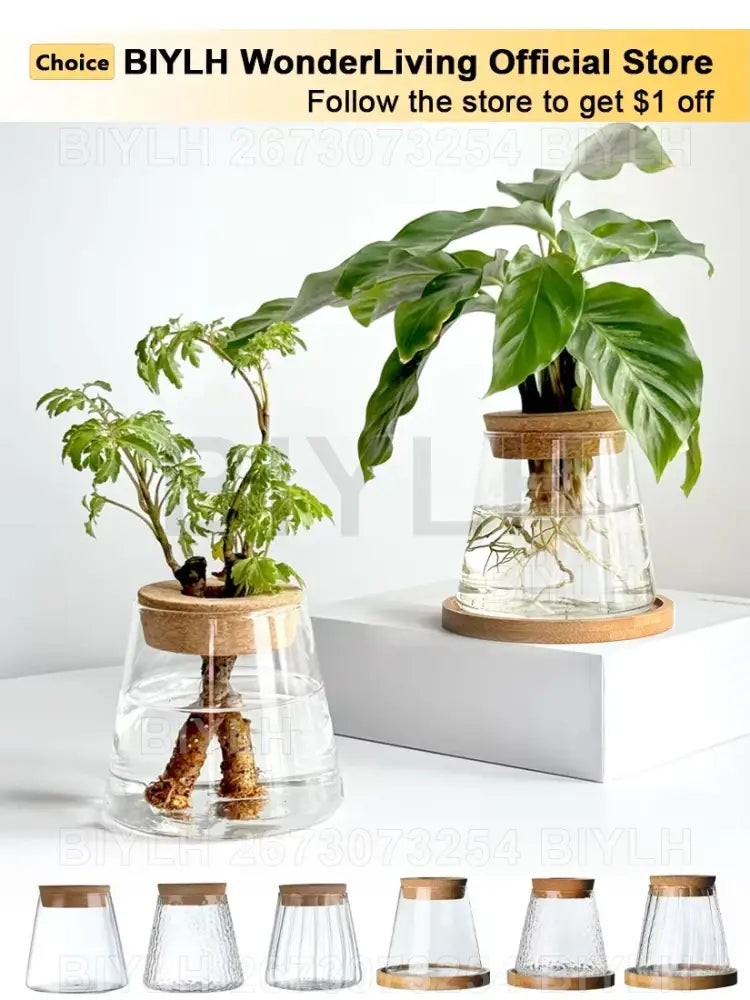 Glass and Wood Planters
