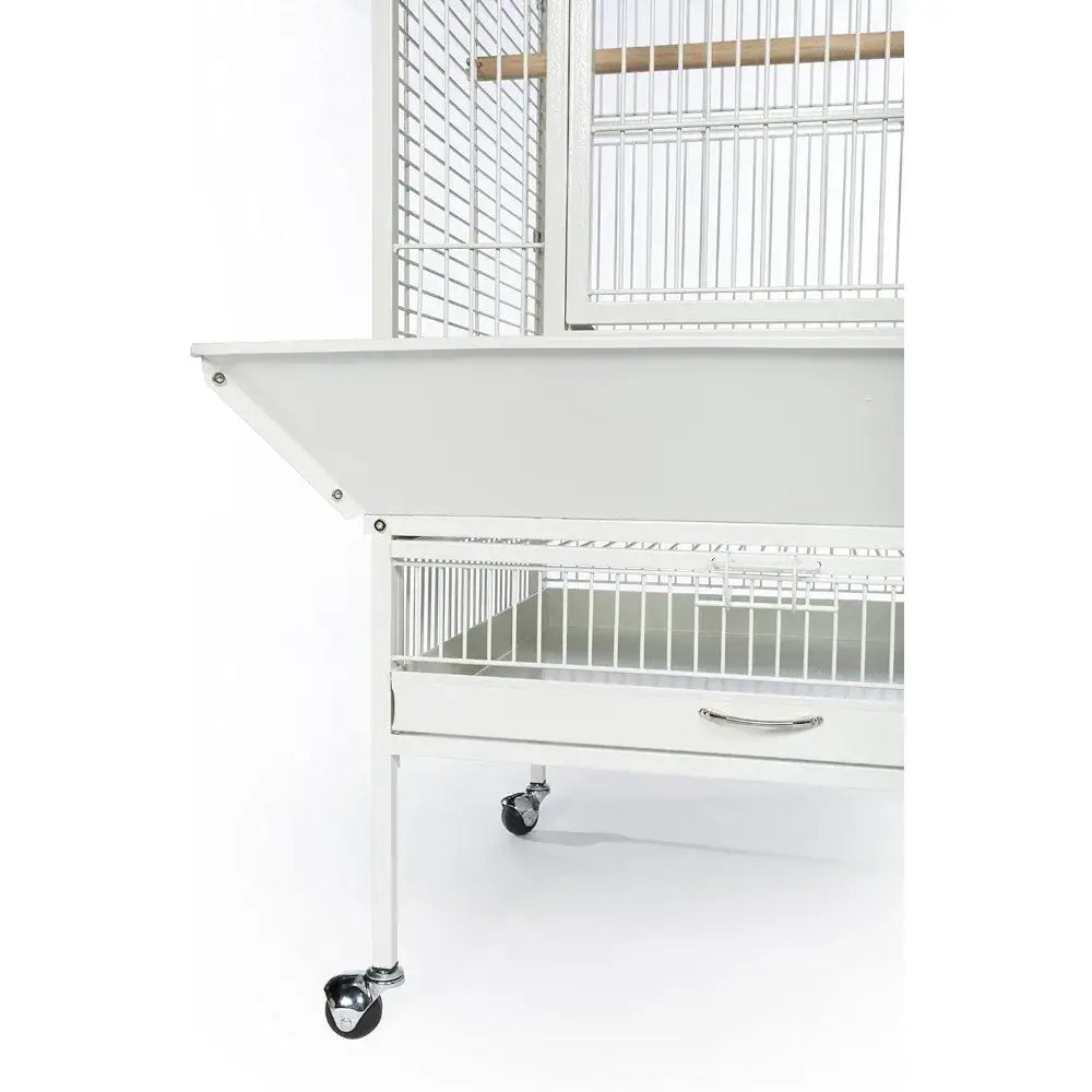 Chalk White Metal Birdcage
