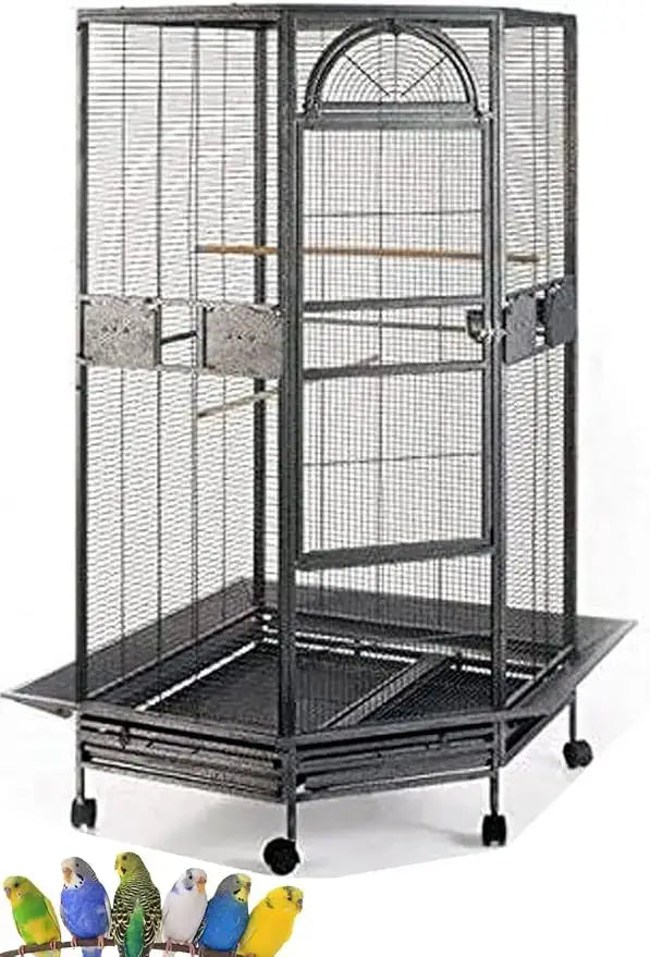 Wrought Iron Bird Cage