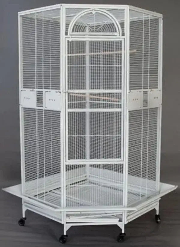 Wrought Iron Bird Cage