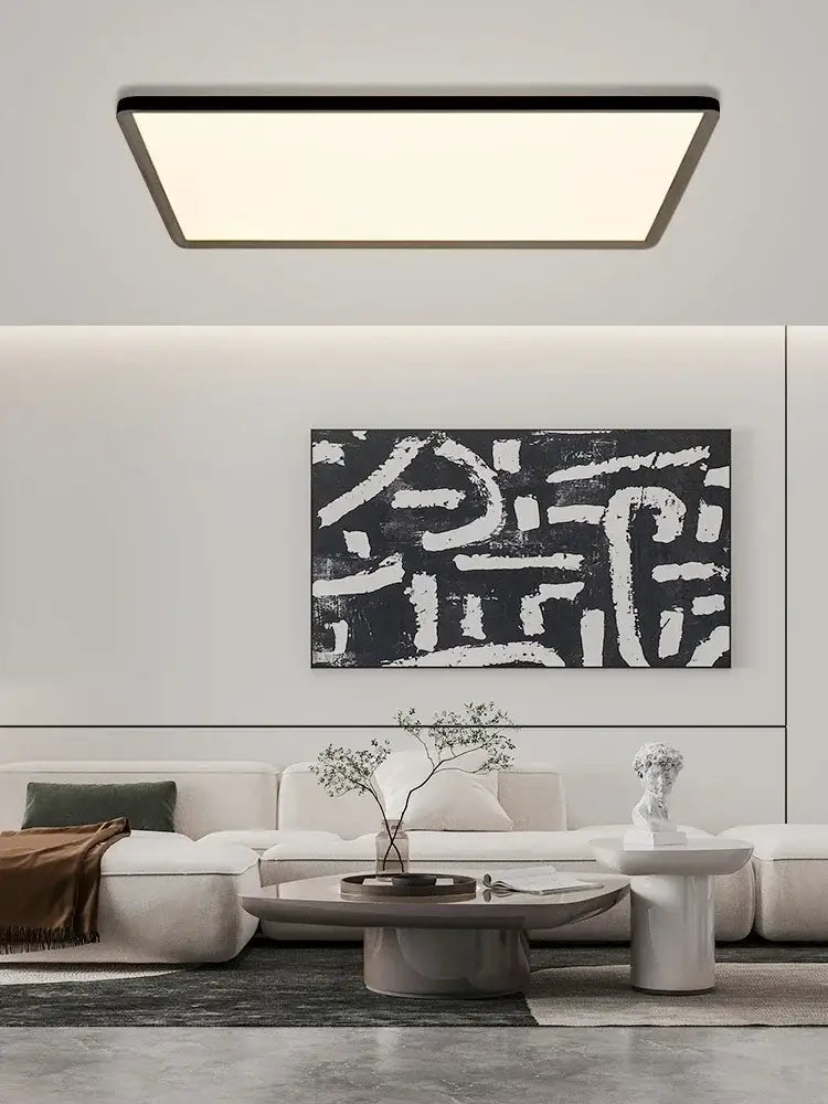 Black Modern Ceiling Light