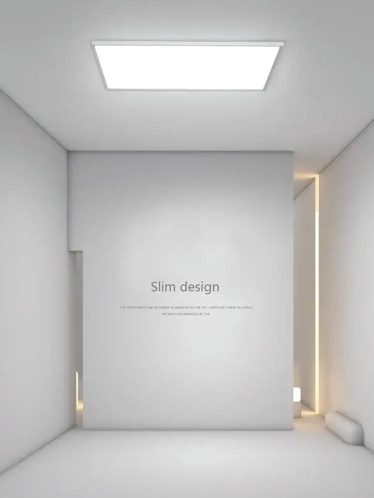 Black Modern Ceiling Light