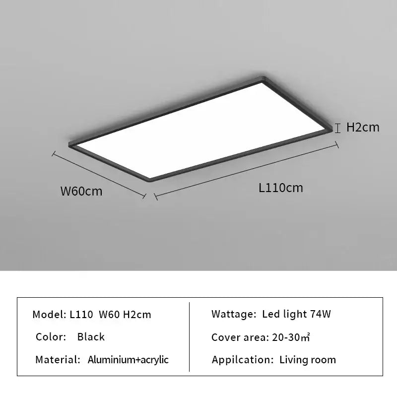 Black Modern Ceiling Light
