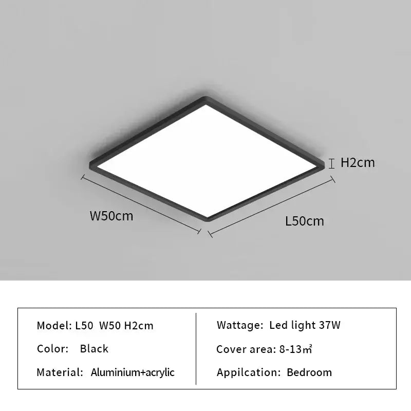 Black Modern Ceiling Light