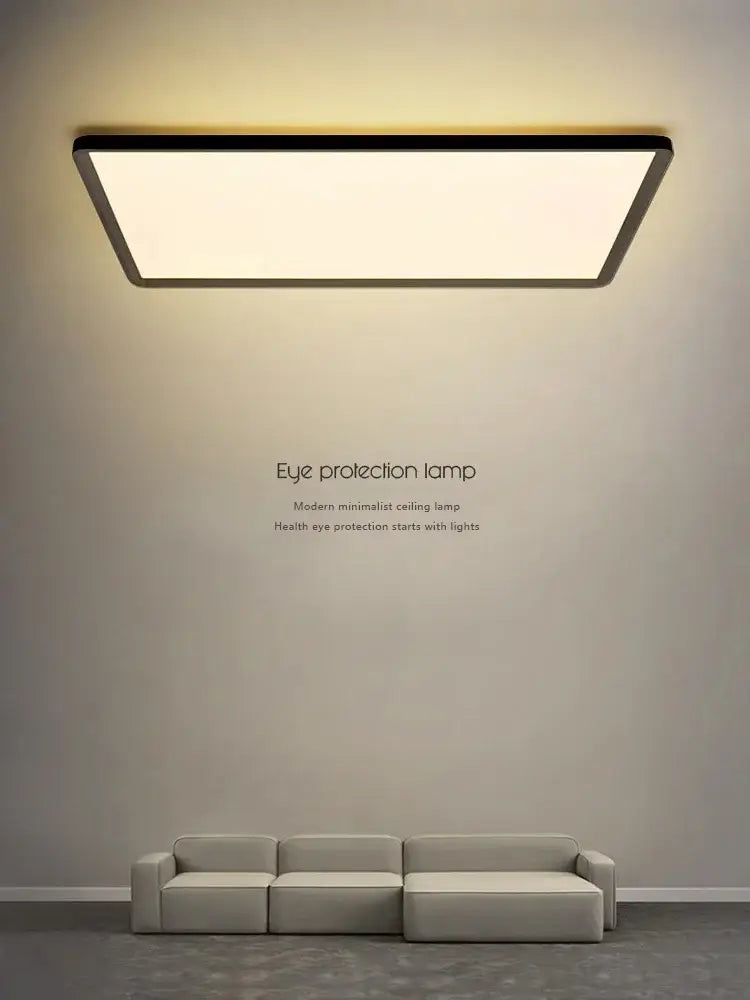 Black Modern Ceiling Light