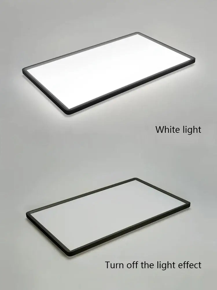 Black Modern Ceiling Light