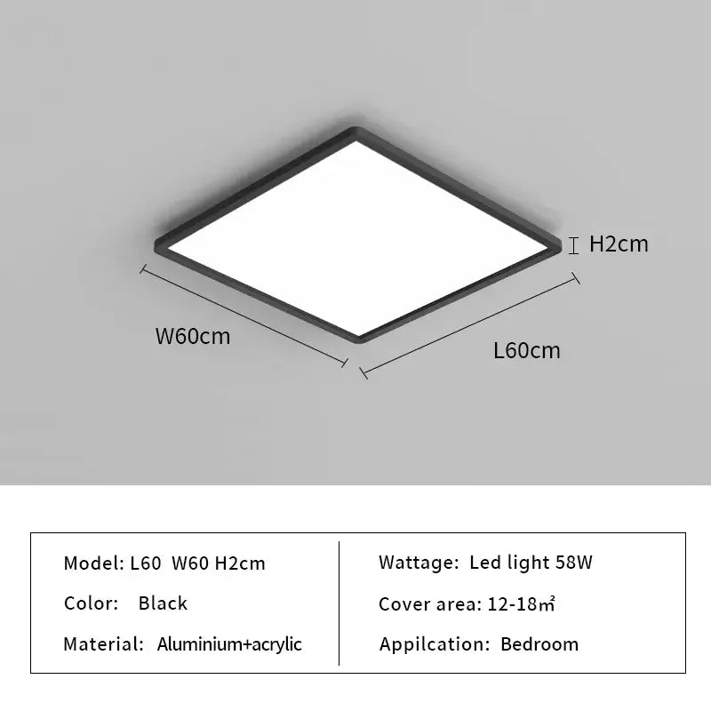 Black Modern Ceiling Light