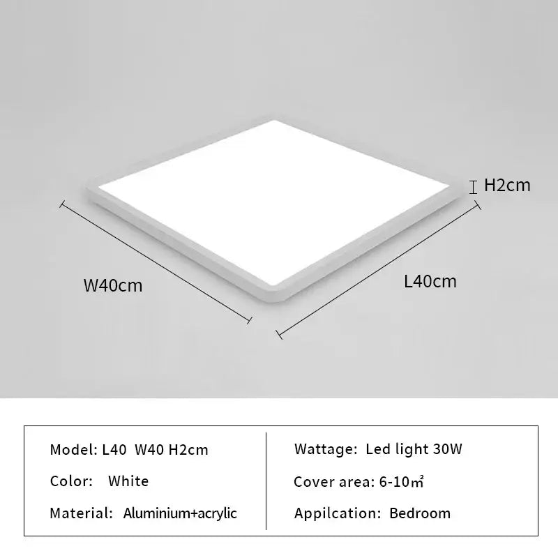 Black Modern Ceiling Light