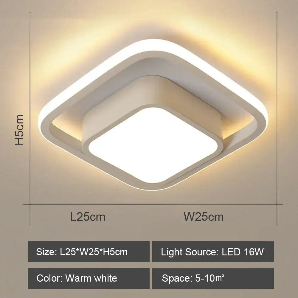 Black White LED Ceiling