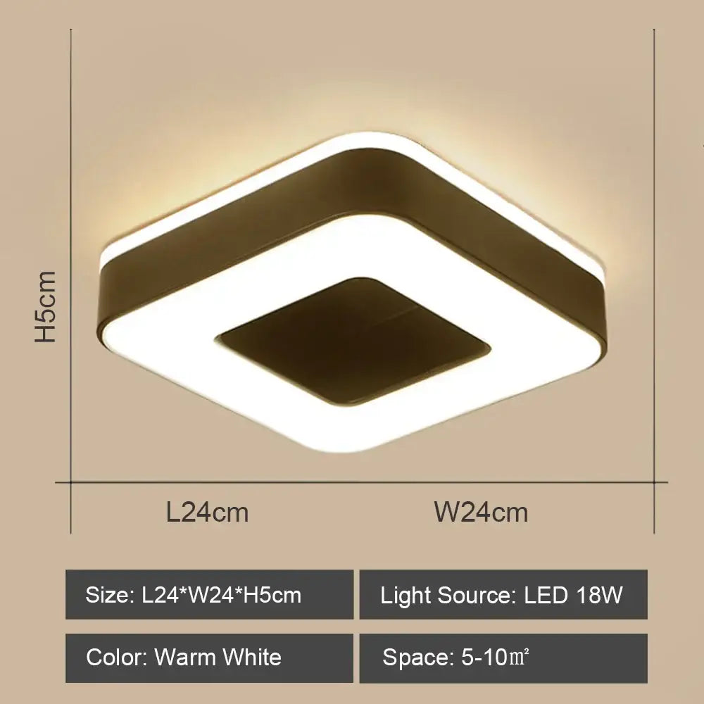 Black White LED Ceiling