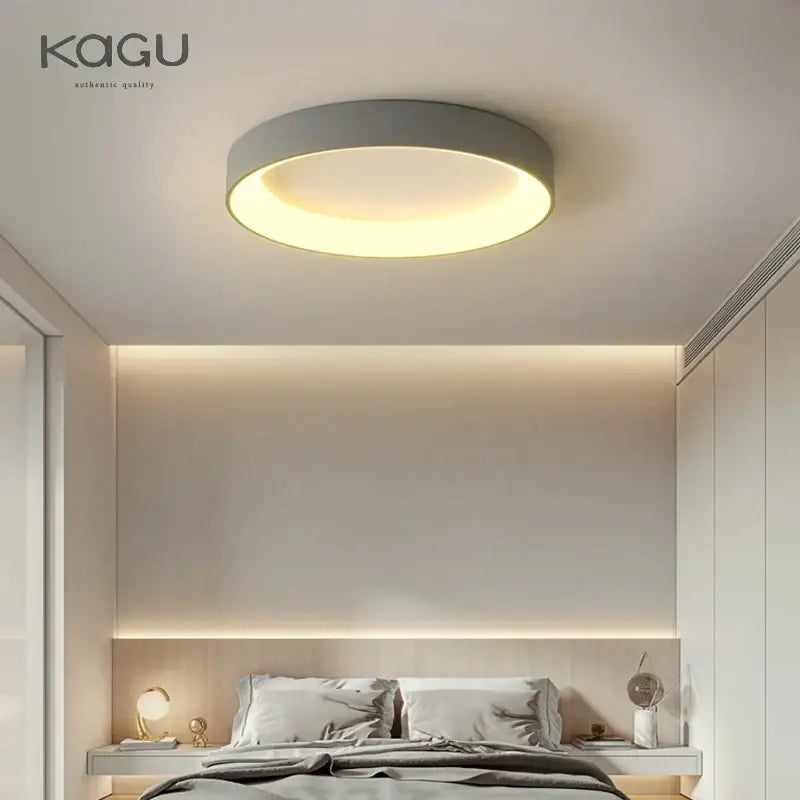 Gray Round LED Ceiling Light