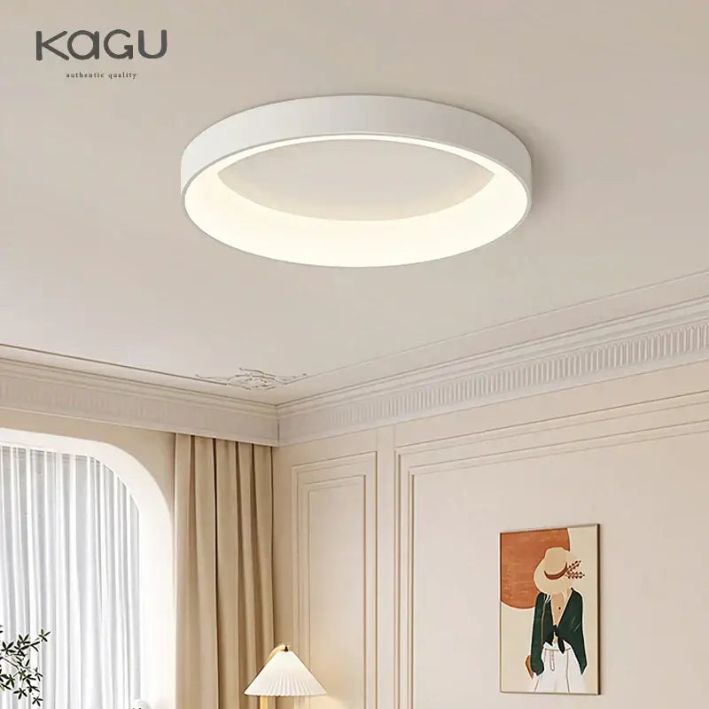 Gray Round LED Ceiling Light