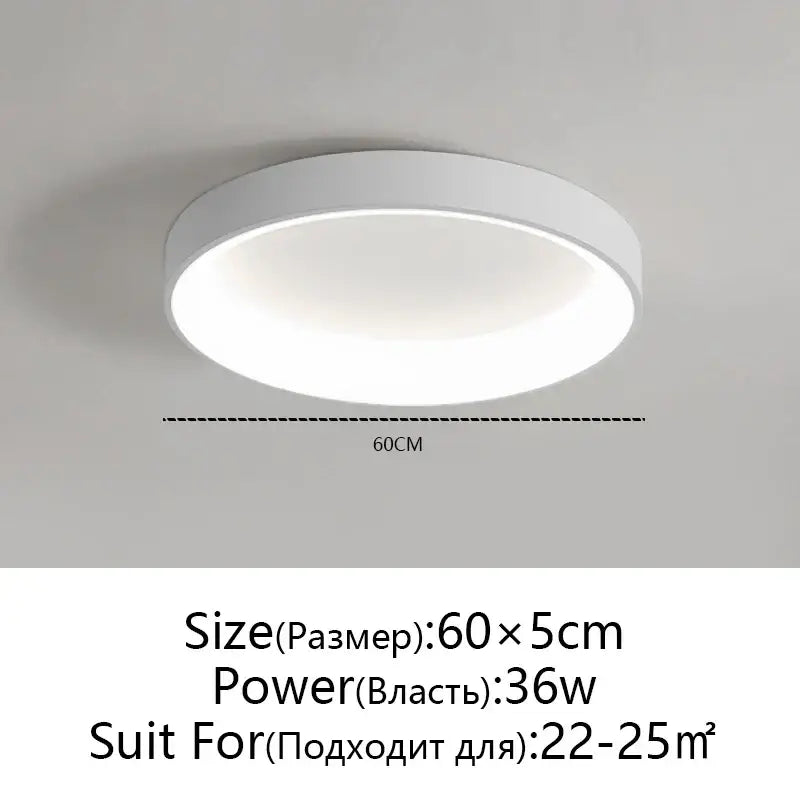 Gray Round LED Ceiling Light