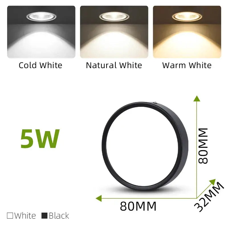 Adjustable LED Spot Light