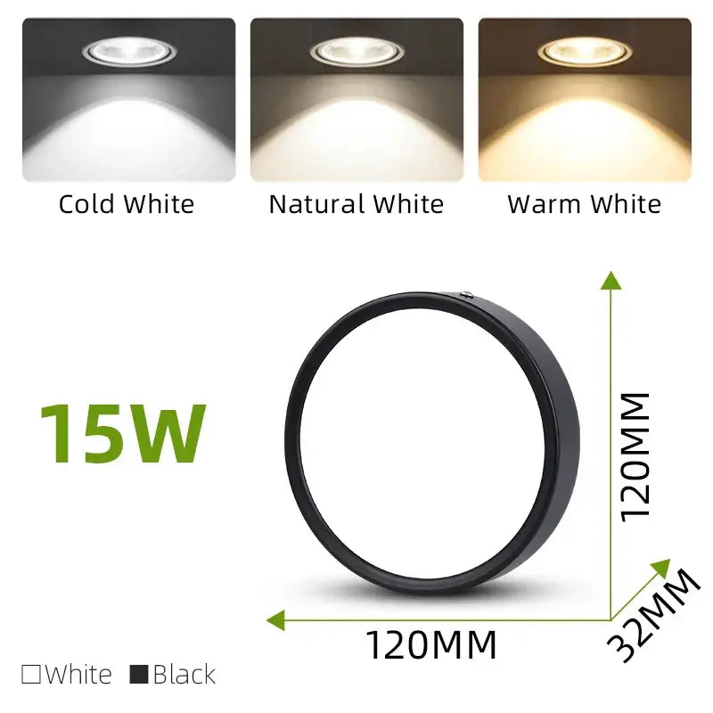 Adjustable LED Spot Light