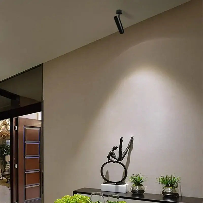 White LED Ceiling Spotlights