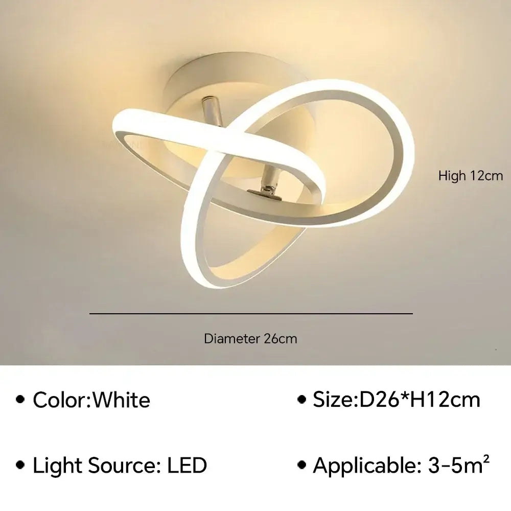 Black Loop Ceiling Lamp