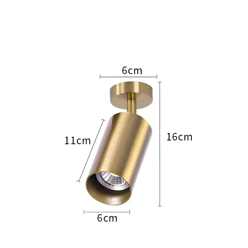 Brass Ceiling Spotlight