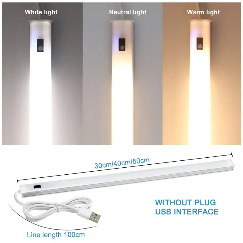 White LED Motion Light