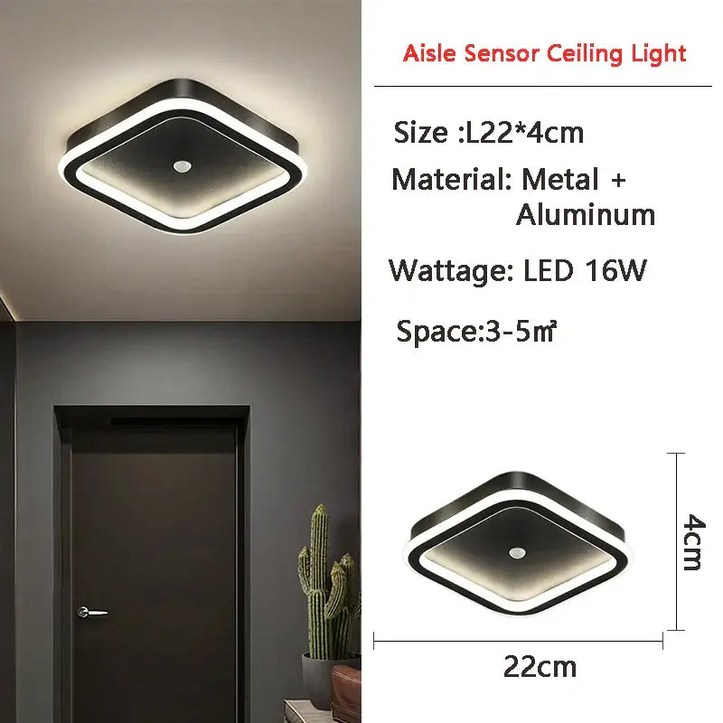 Black Motion Sensor Light