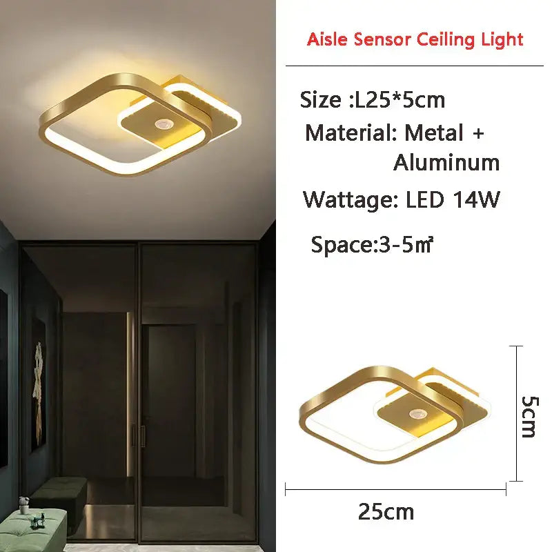 Black Motion Sensor Light