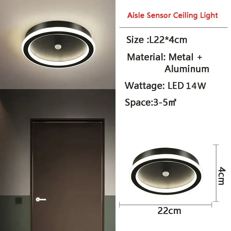 Black Motion Sensor Light