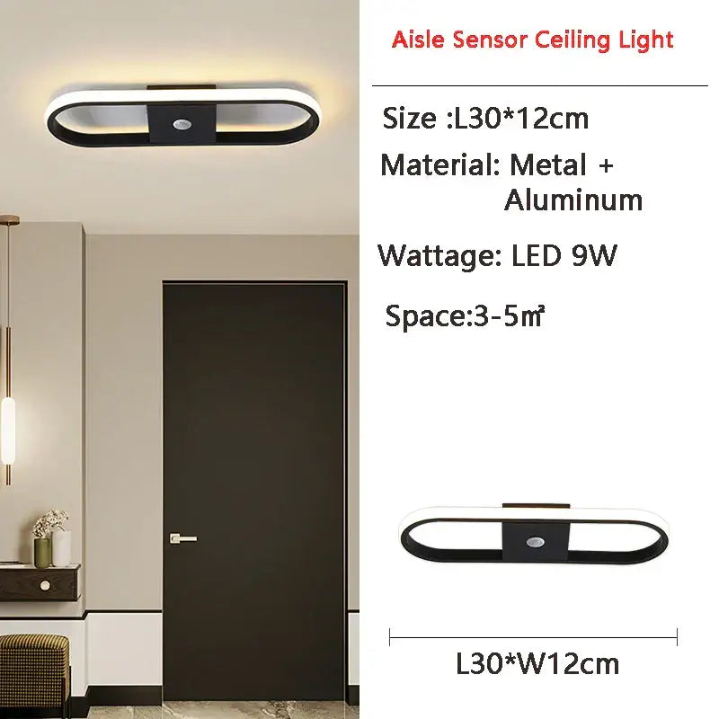Black Motion Sensor Light