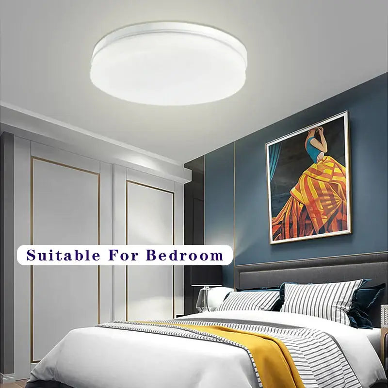 White Panel Ceiling Light