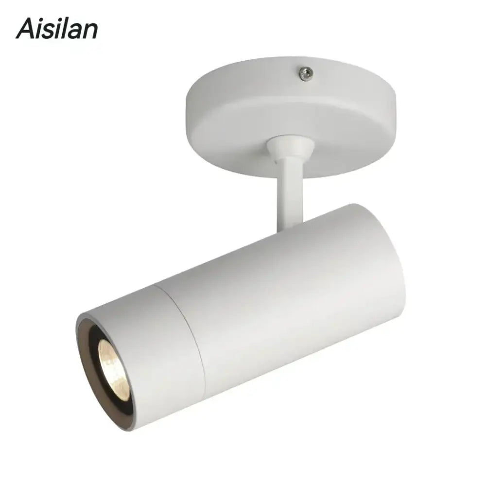 White Adjustable Spotlight