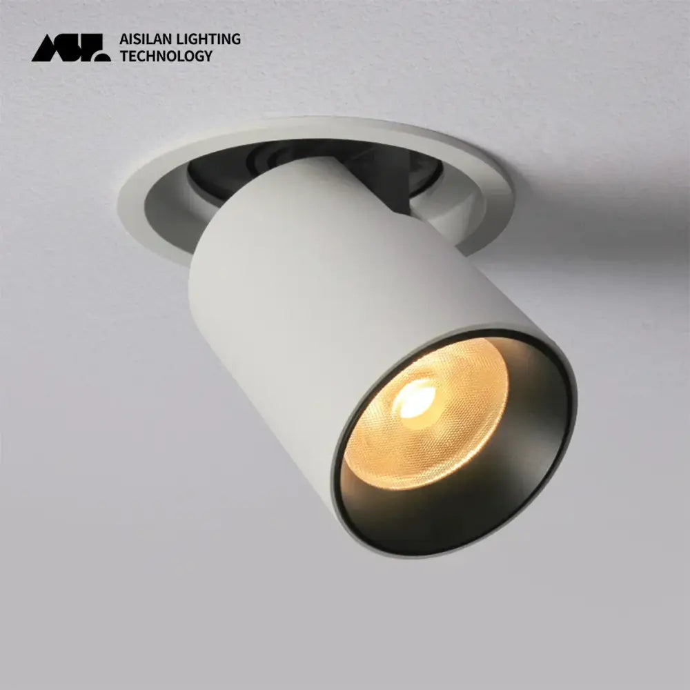 Black Transformer Downlight