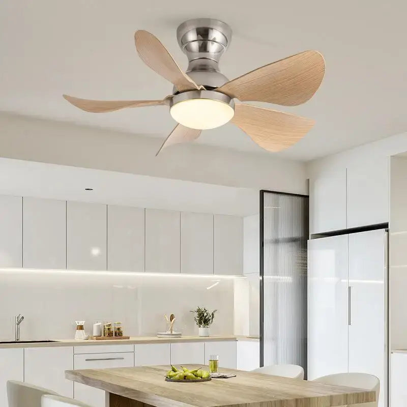 Low Profile Ceiling Fan