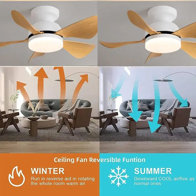 Low Profile Ceiling Fan