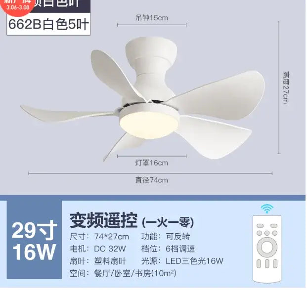 Low Profile Ceiling Fan