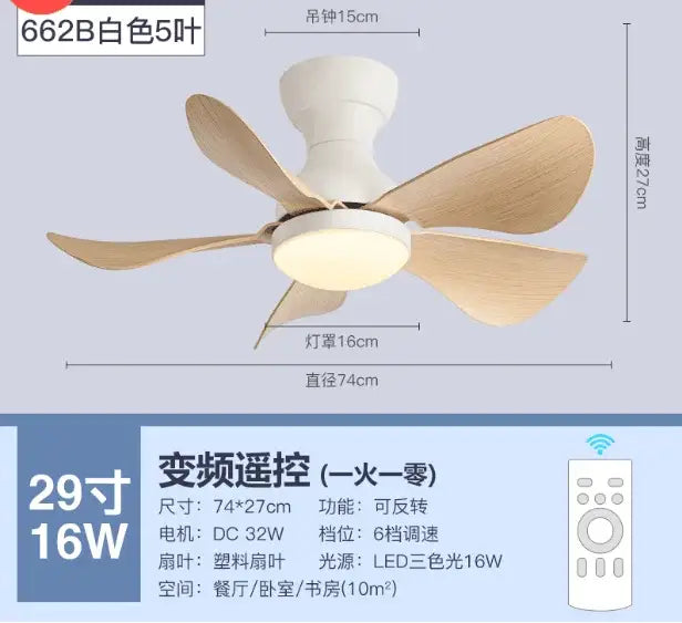 Low Profile Ceiling Fan