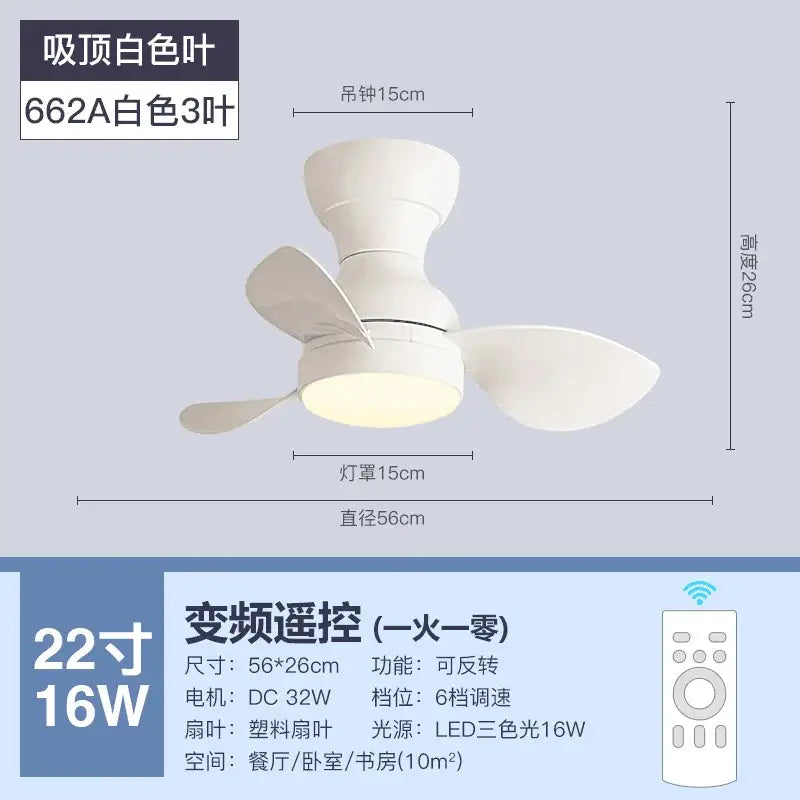 Low Profile Ceiling Fan