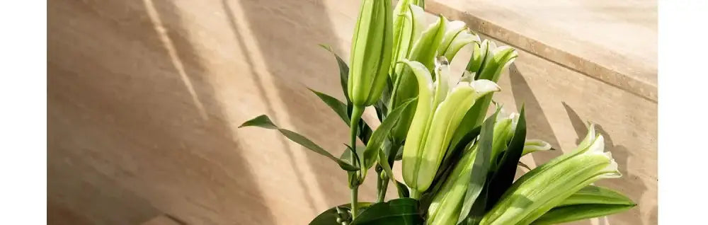 Silver Stainless Steel Vase