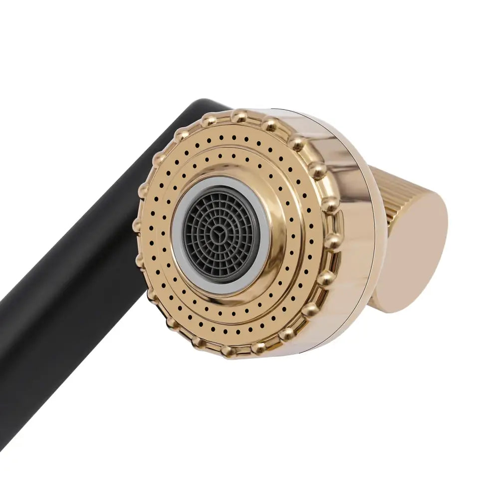 Black Gold Kitchen Faucet