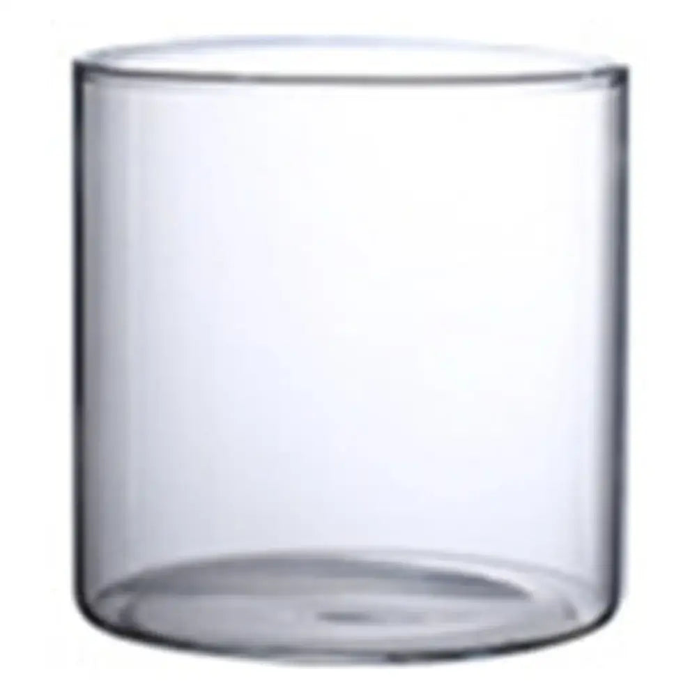 Glass Cylinder Hydroponic Vase