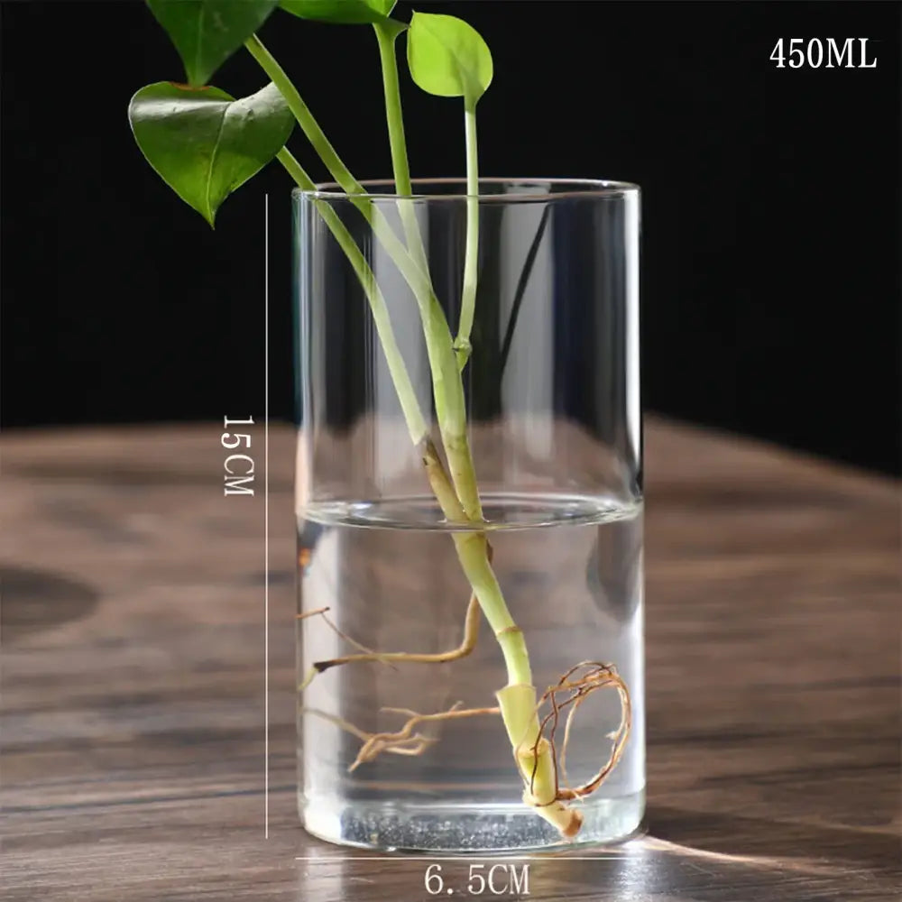 Glass Cylinder Hydroponic Vase