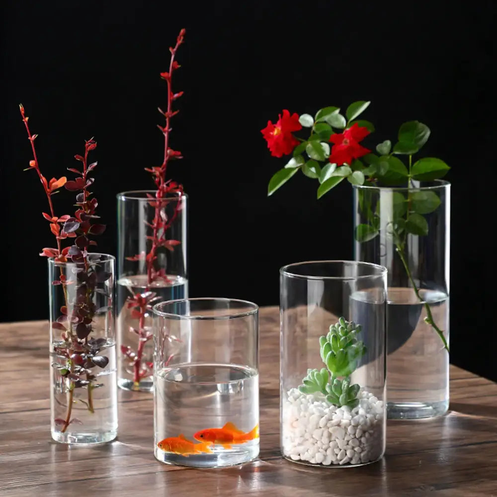 Glass Cylinder Hydroponic Vase