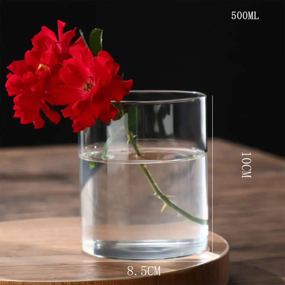 Glass Cylinder Hydroponic Vase