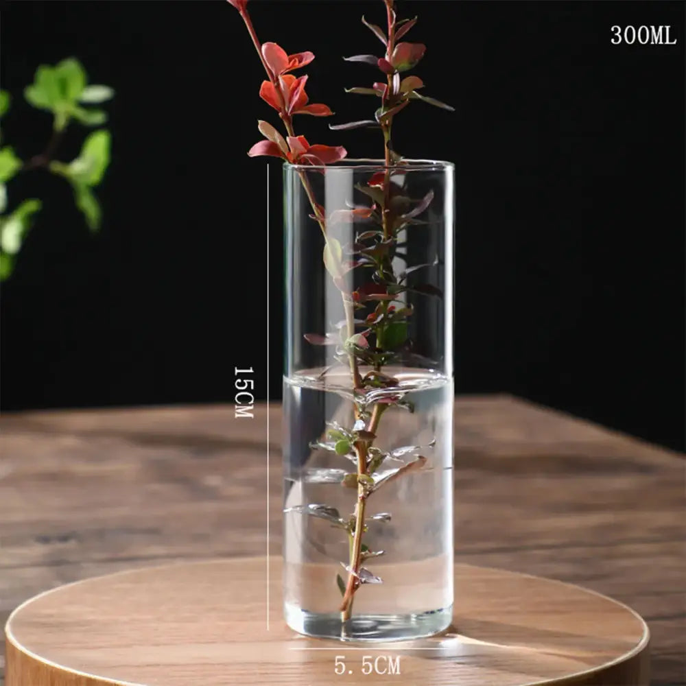 Glass Cylinder Hydroponic Vase