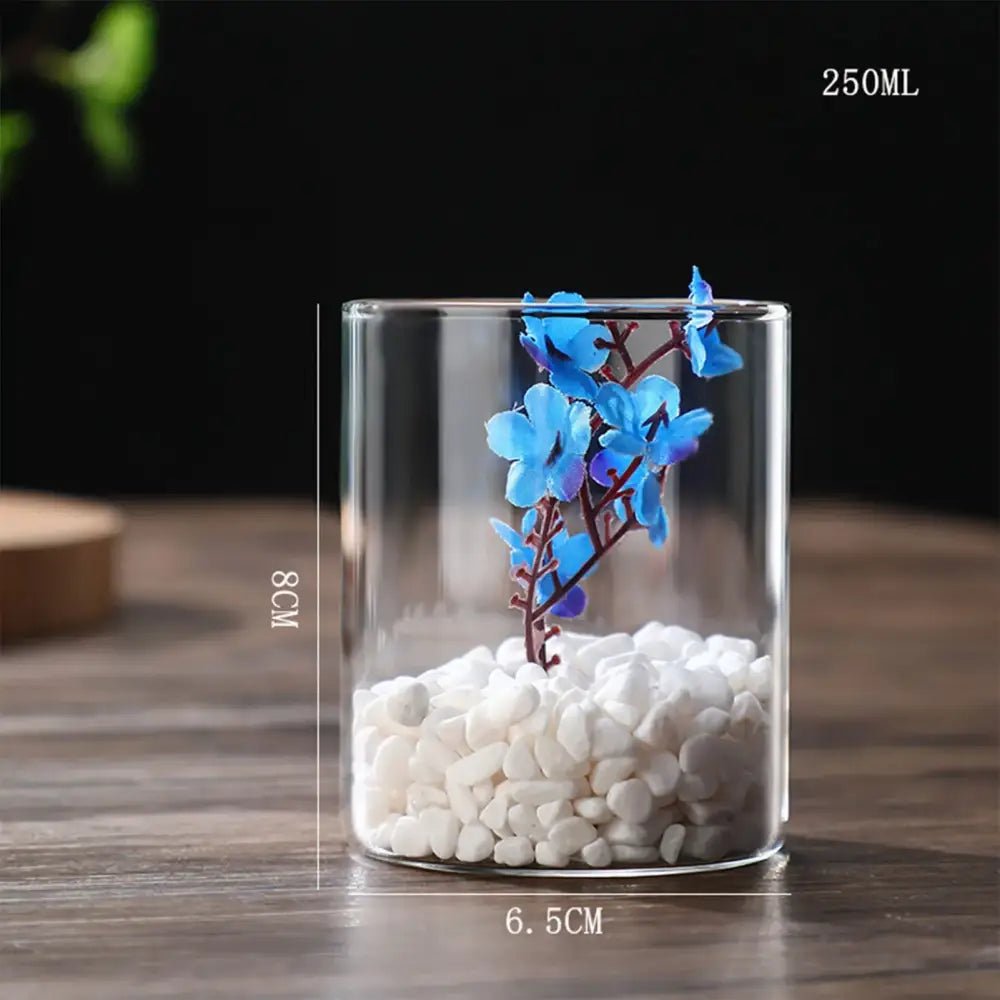 Glass Cylinder Hydroponic Vase
