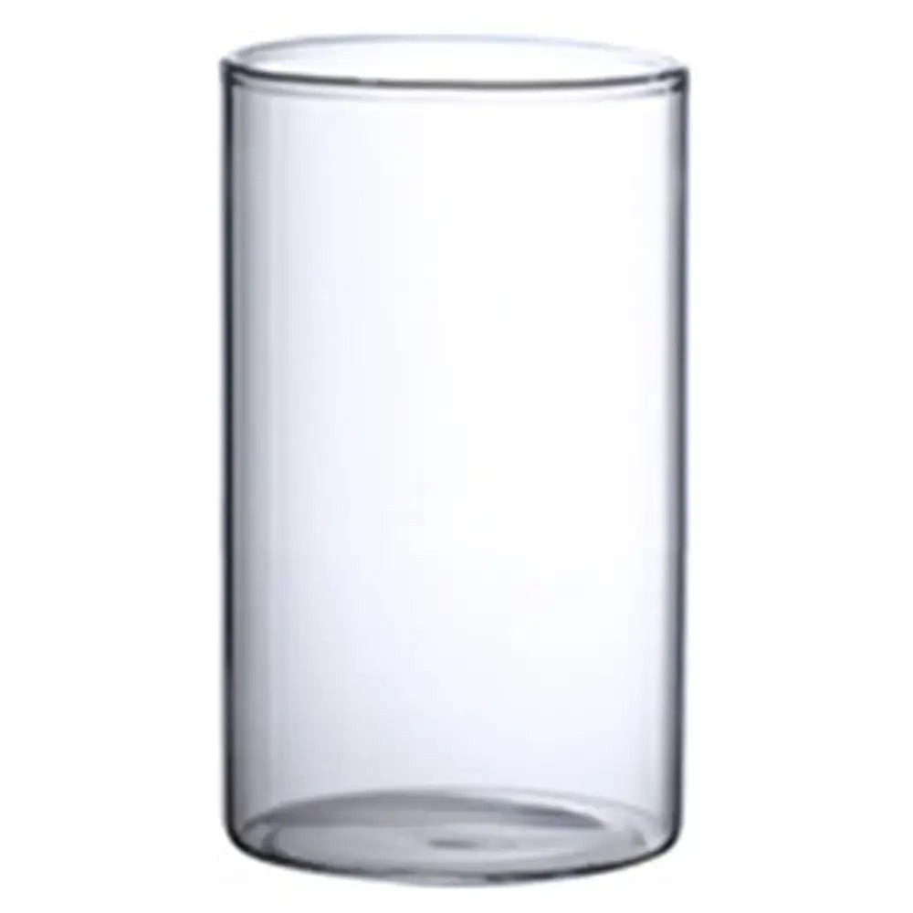 Glass Cylinder Hydroponic Vase