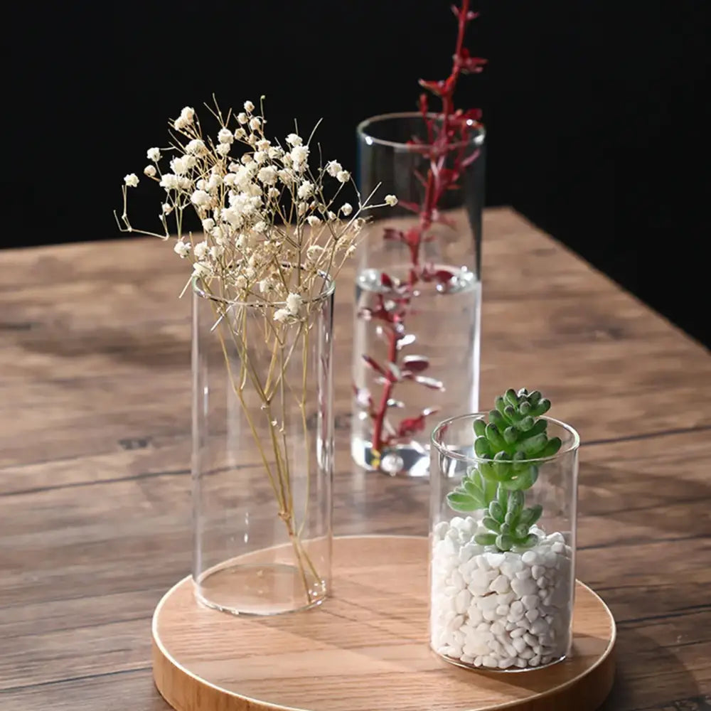 Glass Cylinder Hydroponic Vase