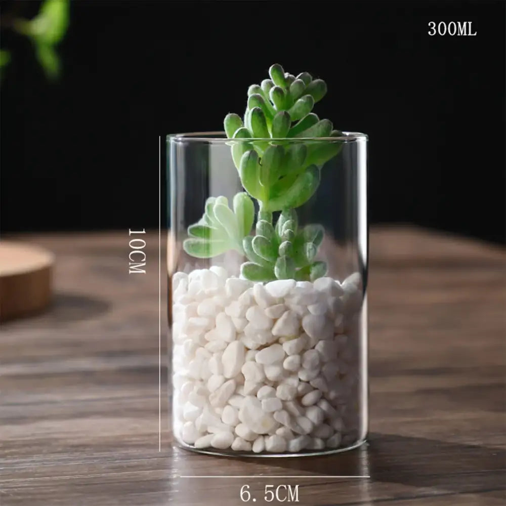 Glass Cylinder Hydroponic Vase