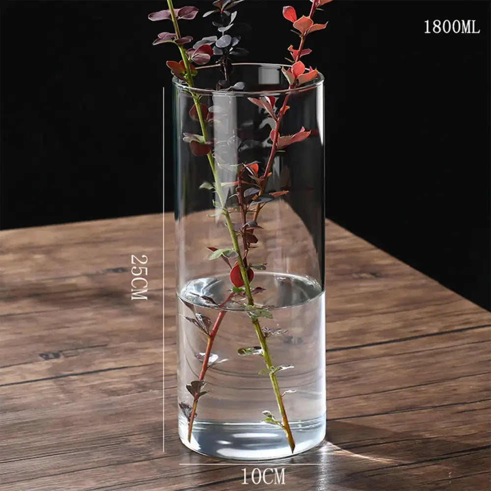Glass Cylinder Hydroponic Vase